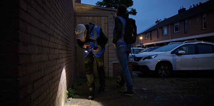 Foto: Harderwijk schrik niet: dit zijn géén nachtelijke indringers