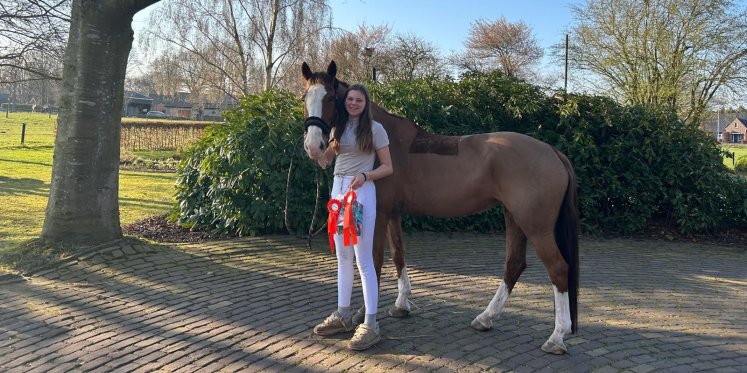 Foto: Ponyclub Klein Maar Dapper boekt mooie successen op diverse concoursen