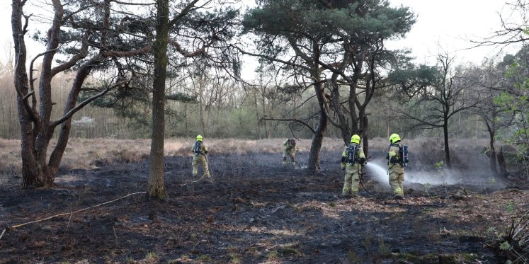 Foto: Politie stopt onderzoek brand Schaffelaarsebos: ‘Te weinig aanknopingspunten’
