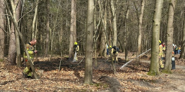 Foto: Brand in bos in Putten, snel onder controle
