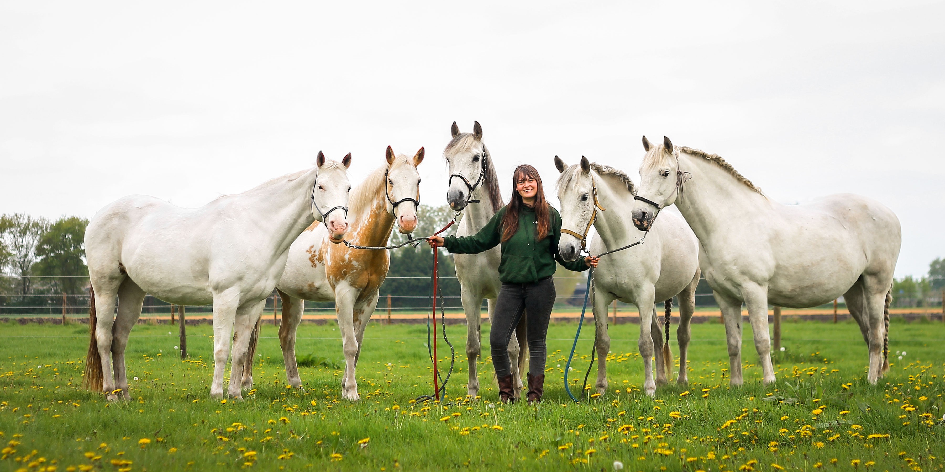 Foto: Hoe Manuela met haar paarden vastgelopen kinderen weer op gang helpt
