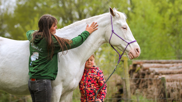 Foto: Hoe Manuela met haar paarden vastgelopen kinderen weer op gang helpt