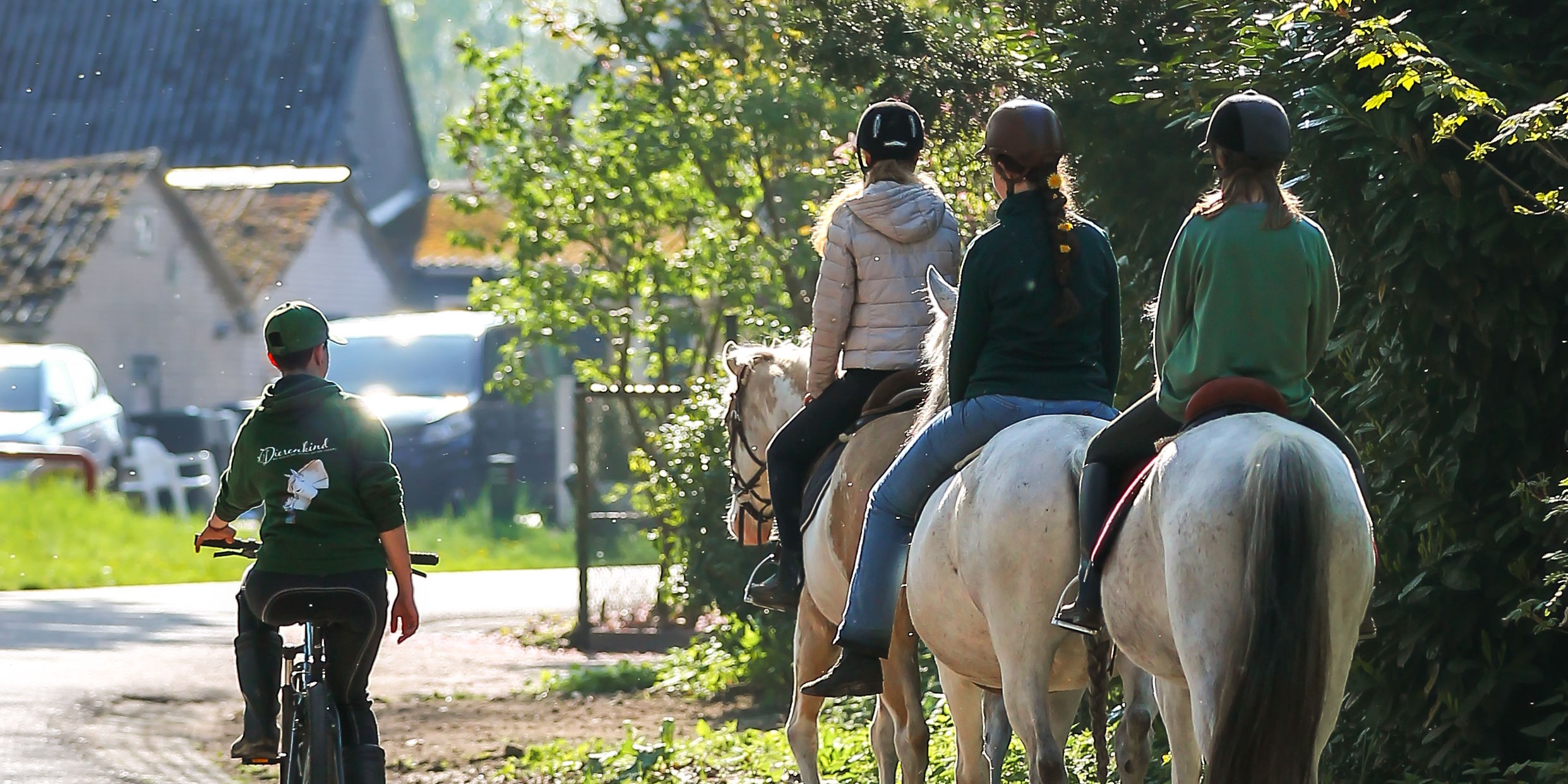 Foto: Hoe Manuela met haar paarden vastgelopen kinderen weer op gang helpt