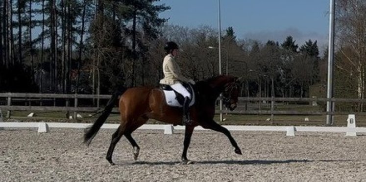 Foto: Tweede prijs voor Mandy Koops