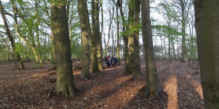 Foto: Wandeling voor vrede en vrijheid op 5 mei in Wezep