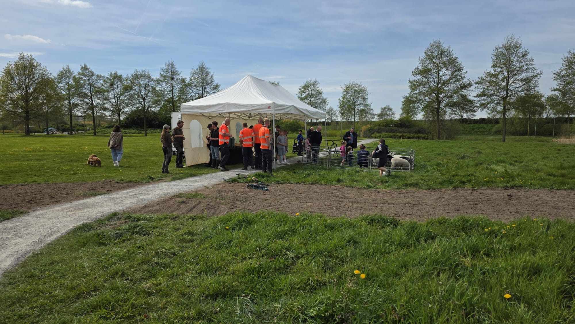 Foto: Nijkerkse schaapskudde feestelijk onthaald