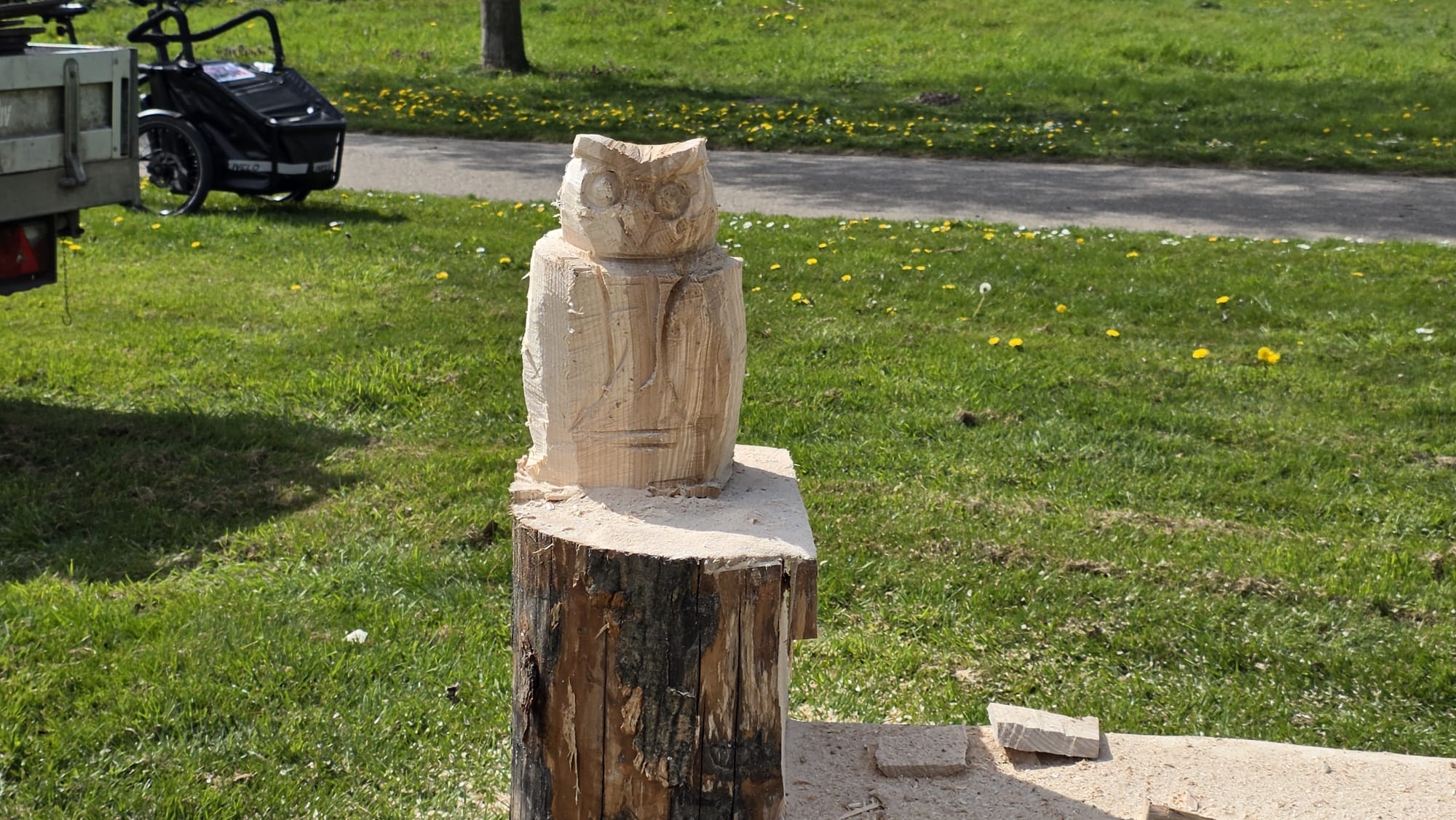 Foto: Nijkerkse schaapskudde feestelijk onthaald