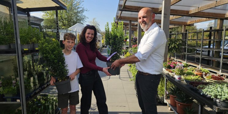 Foto: Gratis planten in ruil voor gewipte tegels