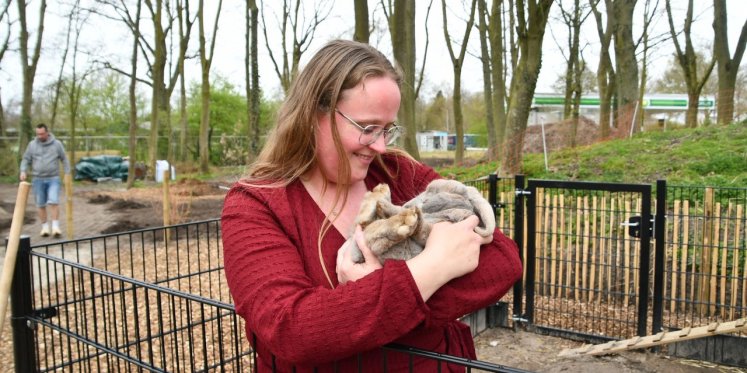Foto: Waarom deze zussen al hun vrije tijd stoppen in een gratis speelboerderij voor alle kinderen