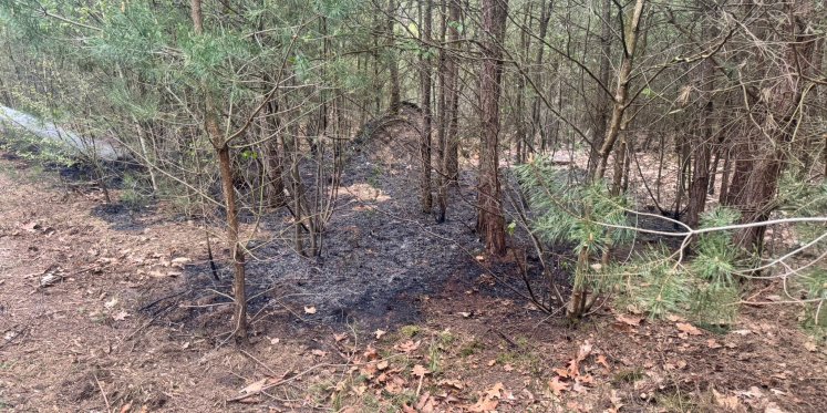 Foto: Snelle inzet voorkomt uitbreiding van bosbrand bij Vierhouten