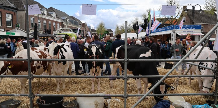 Foto: LIVE: Volg hier de Nijkerkse Boerenmaandag