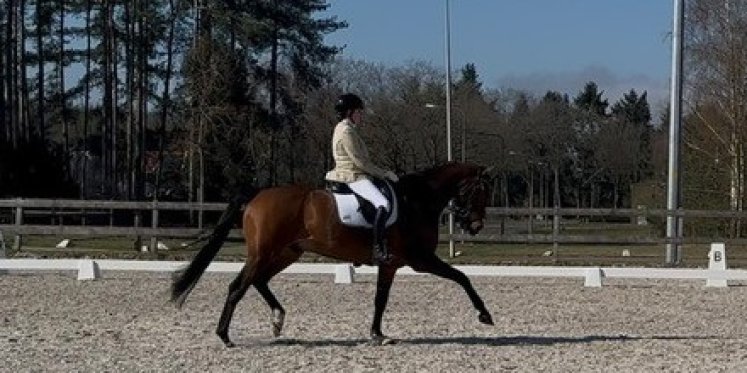 Foto: Dubbel oranje voor Mandy Koops