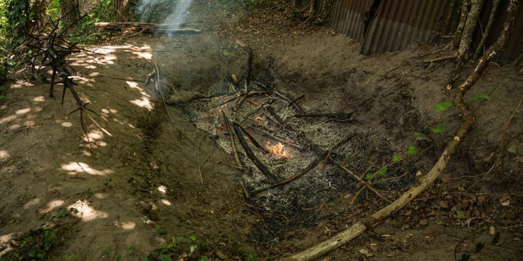 Foto: Brand bij bosje in Harderwijk, mogelijk aangestoken door kinderen
