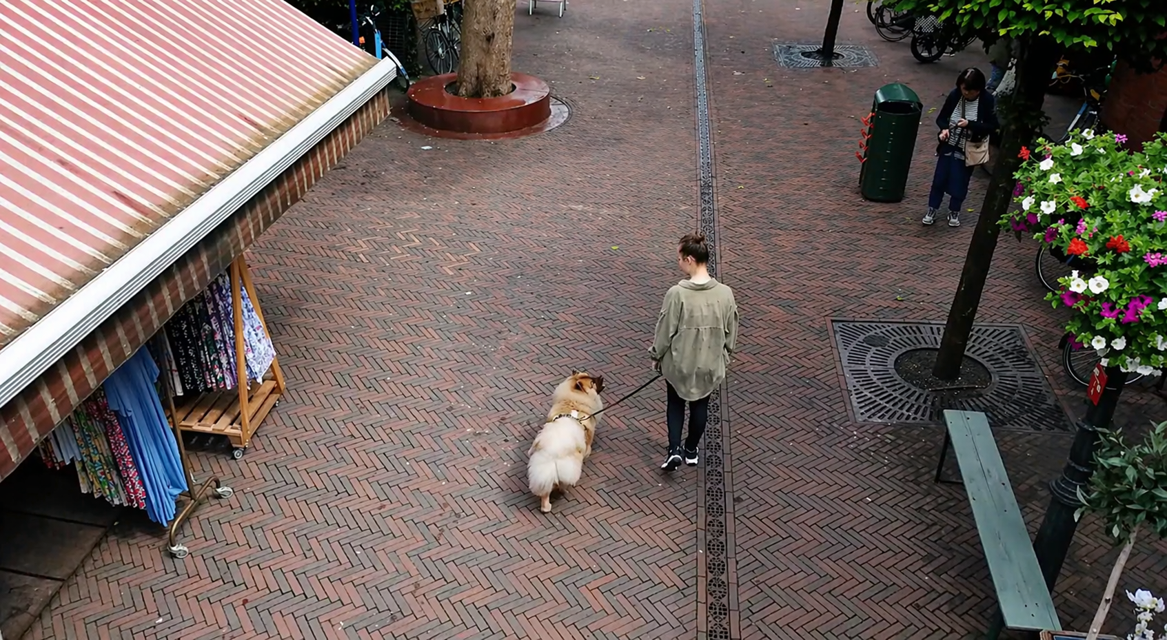 Foto: Bij Famke groeien psychosociale assistentiehonden en mensen samen in een uniek project