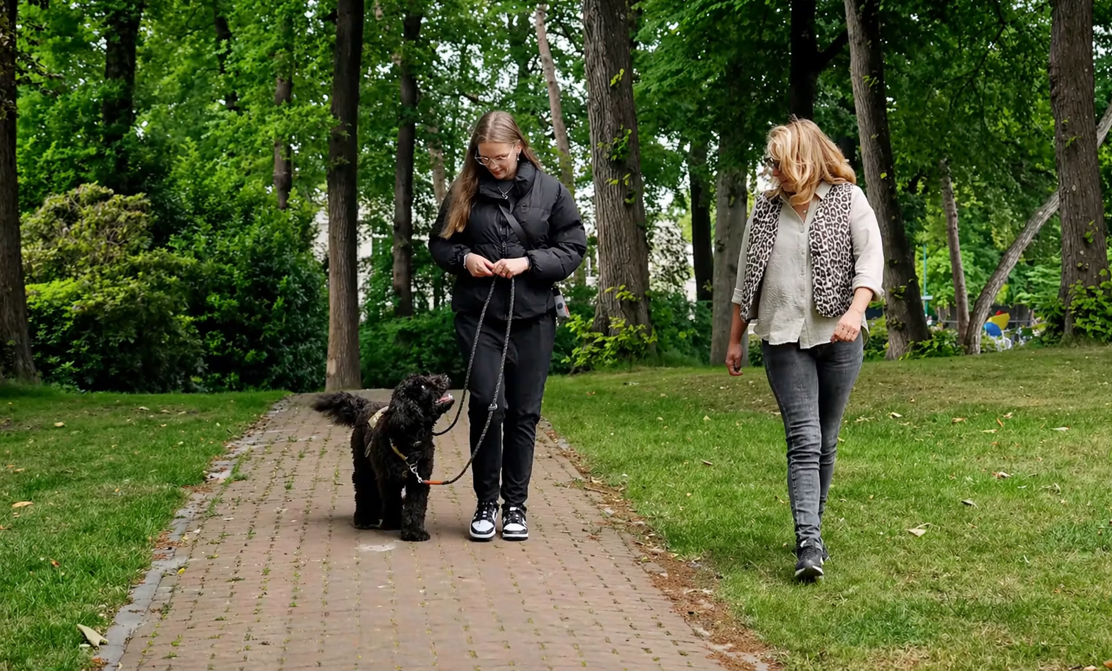 Foto: Bij Famke groeien psychosociale assistentiehonden en mensen samen in een uniek project