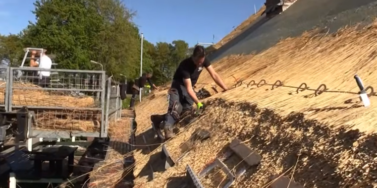 Foto: VIDEO: Rieten dak Boerderijmuseum vernieuwd