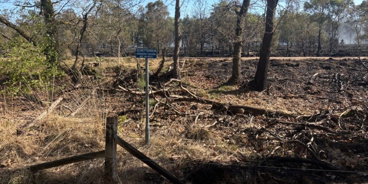 Foto: Grootste natuurbrand ooit voor commandant Jeroen van Geenen: 'Terwijl je er staat, slaat het alweer over'