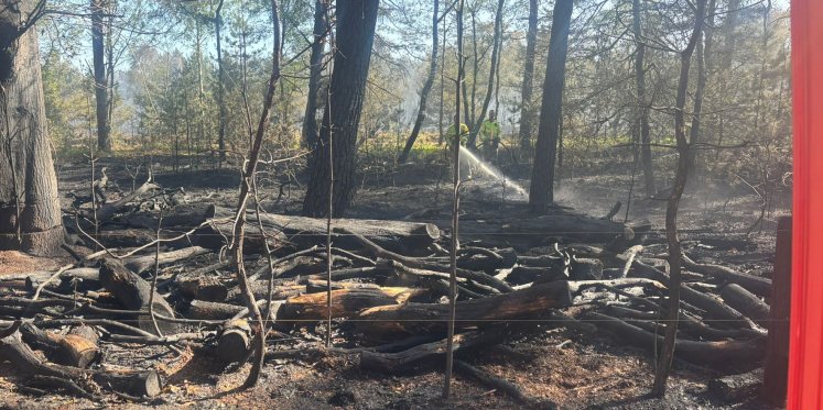 Foto: LIVE: Brandweer kan alleen vanaf paden blussen, wegen weer vrijgegeven