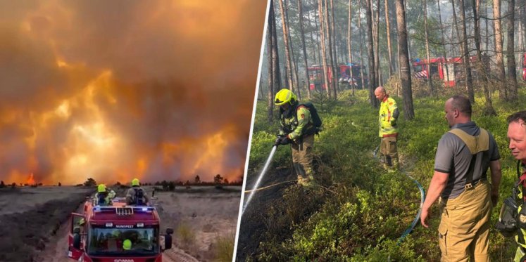 Foto: Grootste natuurbrand ooit voor commandant Jeroen van Geenen: 'Terwijl je er staat, slaat het alweer over'