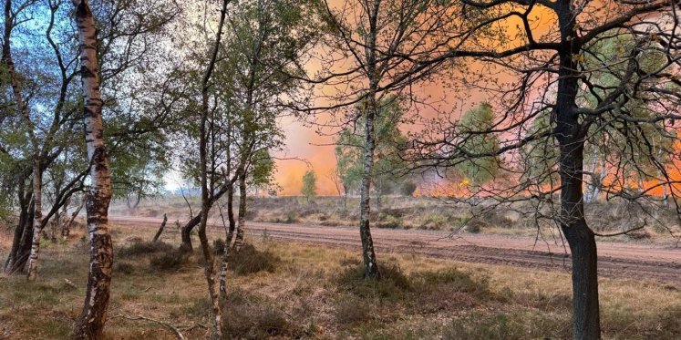 Foto: Grootste natuurbrand ooit voor commandant Jeroen van Geenen: 'Terwijl je er staat, slaat het alweer over'