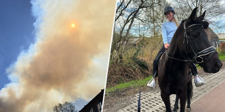 Foto: Angstige momenten voor Kim: jong paard schiet voor vrachtwagen langs