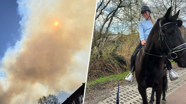 Foto: Angstige momenten voor Kim: jong paard schiet voor vrachtwagen langs