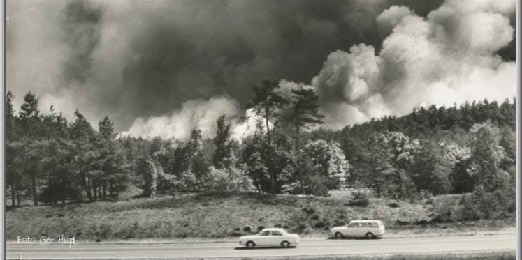 Foto: Brand op ’t Harde roept herinneringen op aan 1970: ‘Ik zie die roze wolken nog zo voor me’