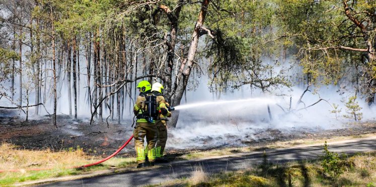 Foto: UPDATE: Brand Kootwijk 'in de kiem gesmoord', brand in Harderwijk ook onder controle