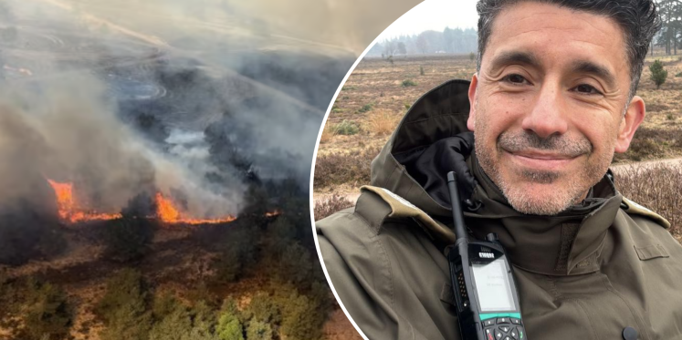 Foto: Groene boa Alex houdt omstanders weg bij brand ’t Harde: ‘Mensen onderschatten het gevaar’