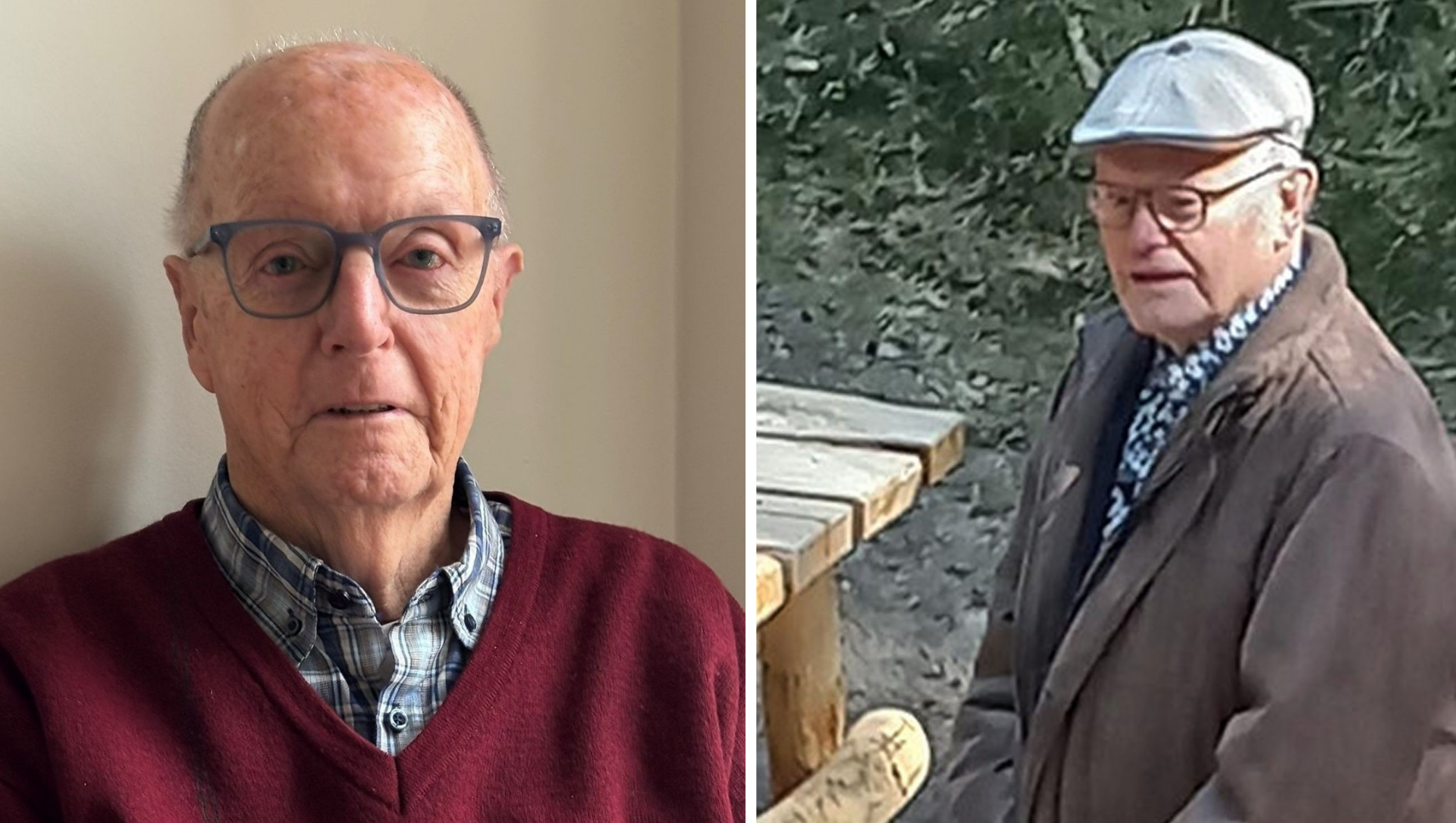 Foto: In dit Ermelose bos kwamen schuilen en verzet dicht bij elkaar