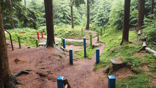 Foto: In dit Ermelose bos kwamen schuilen en verzet dicht bij elkaar
