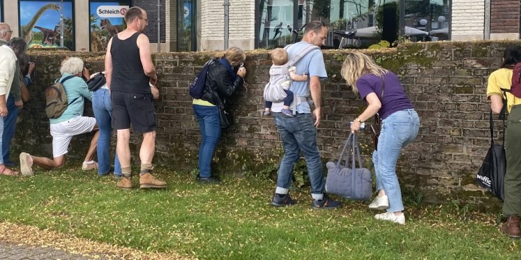 Foto: Stadswandeling: Natuur binnen de stadsgrachten