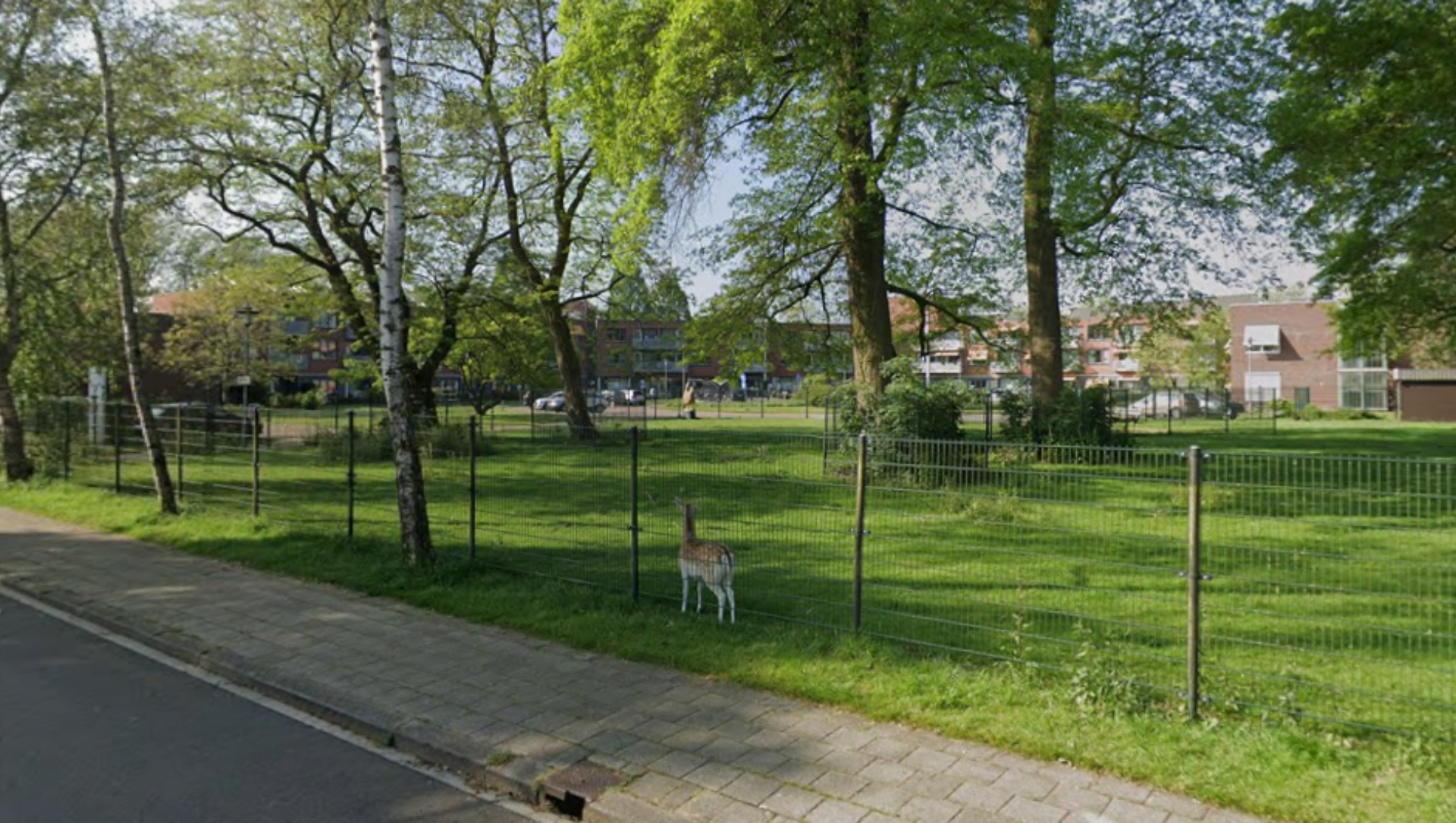 Foto: Op deze plek in Barneveveld komen mogelijk 29 sociale huurwoningen