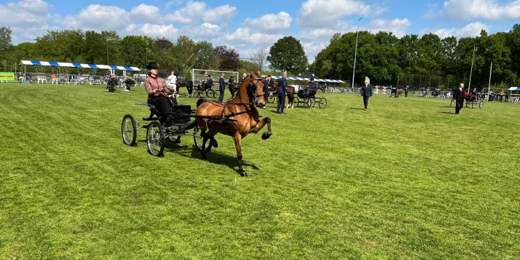 Foto: Traditie leeft voort bij Tuigpaardenconcours in Doornspijk