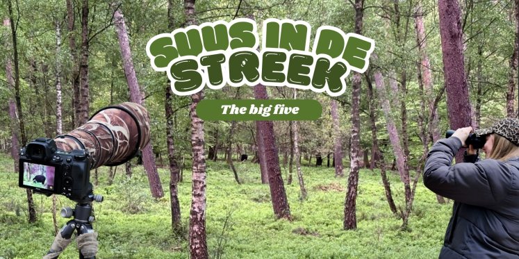 Foto: Suus in de streek: The big five