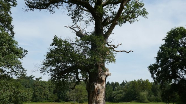 Foto: Voorlichting over de laatste levensfase bij IntermeZZo