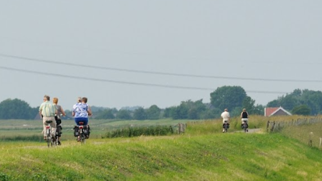 Foto: Fietsdag in Elburg helpt senioren veilig en met plezier op weg