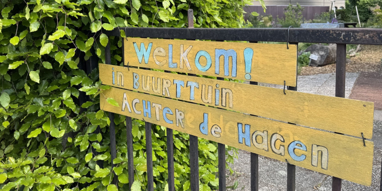 Foto: Hoe Margreet met afgedankte planten een ontmoetingsplek voor buurtbewoners creëerde
