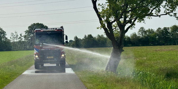 Foto: Boombrand in Hulshorst snel geblust door brandweer