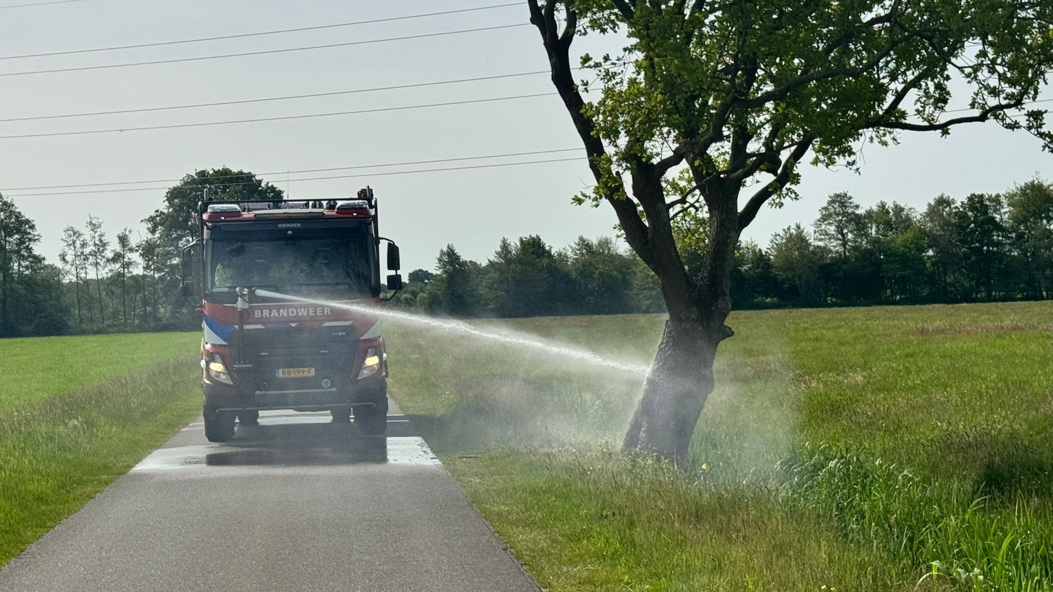 Foto: Boombrand in Hulshorst snel geblust door brandweer