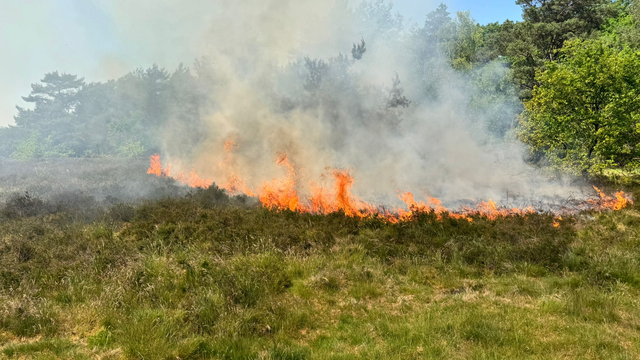 Foto: Droge heide vliegt in brand bij 't Frusselt in Vierhouten