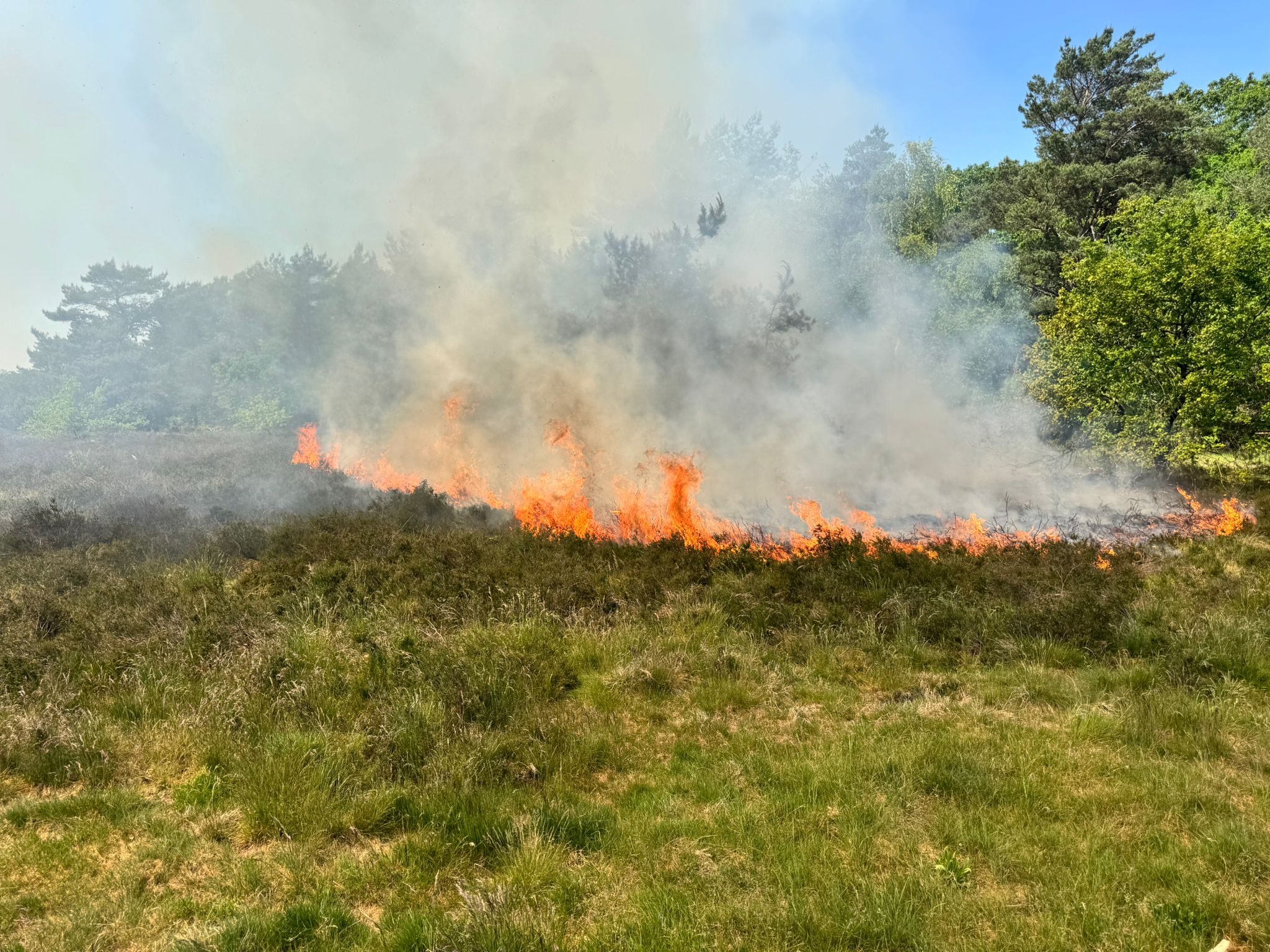 Droge heide vliegt in brand bij 't Frusselt in Vierhouten