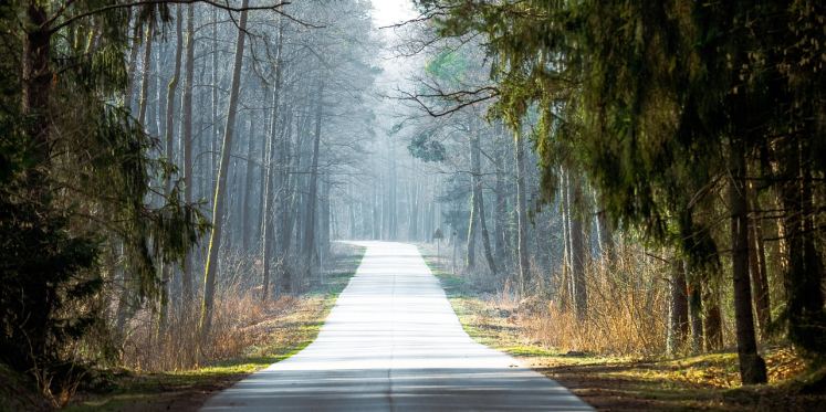 Foto: Column "Toer de Dellen: samen onderweg voor een ander"