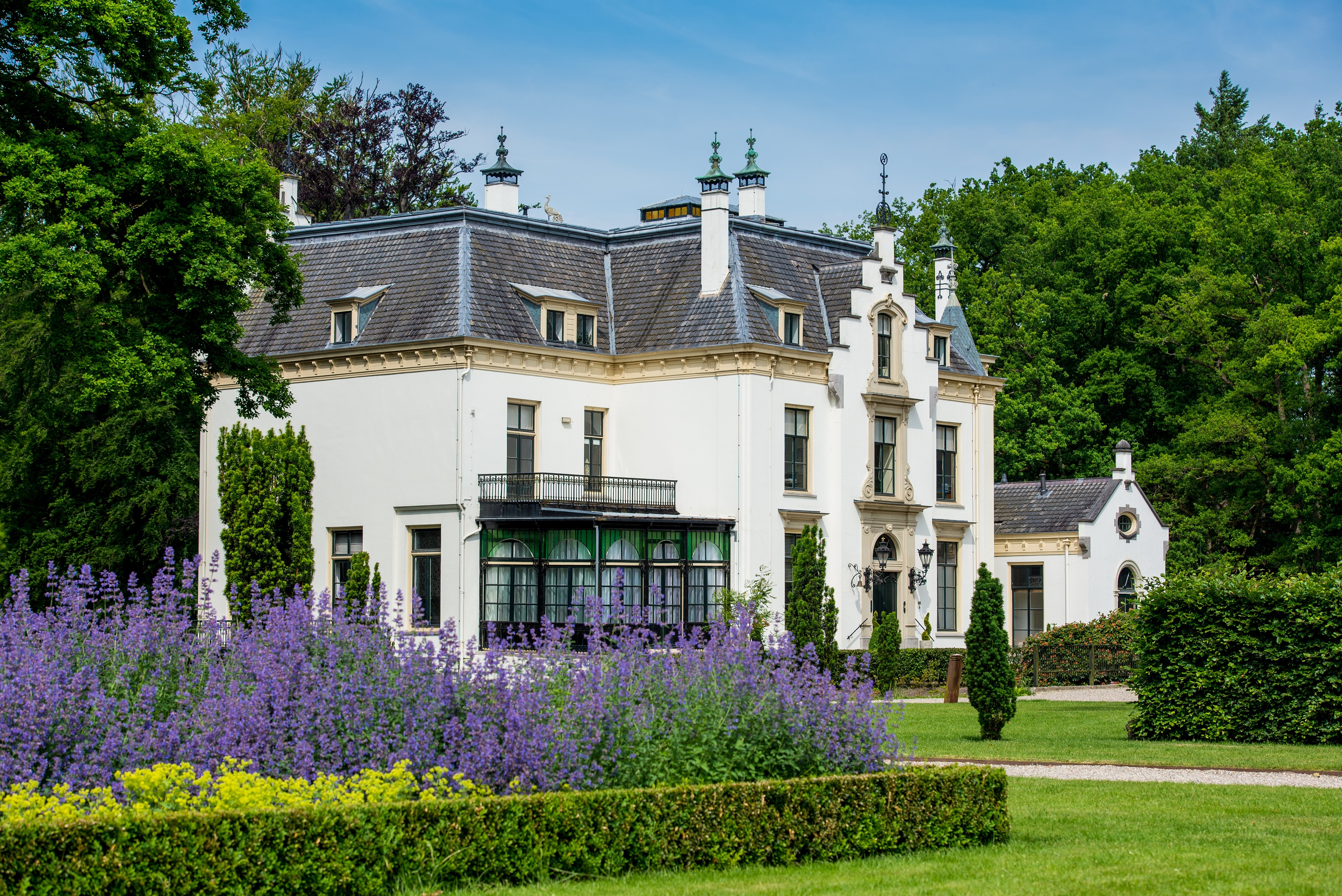Foto: Bijzondere plantenexcursie bij Staverden