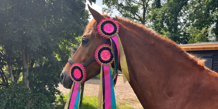 Foto: Geslaagd wedstrijdweekend ponyruiters Heuvelruiters