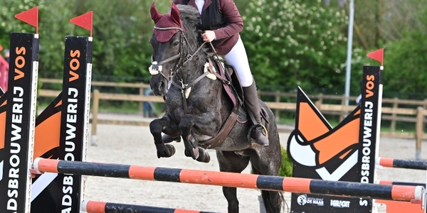 Foto: Sterke resultaten voor Ponyclub Klein Maar Dapper bij laatste dressuurselectie