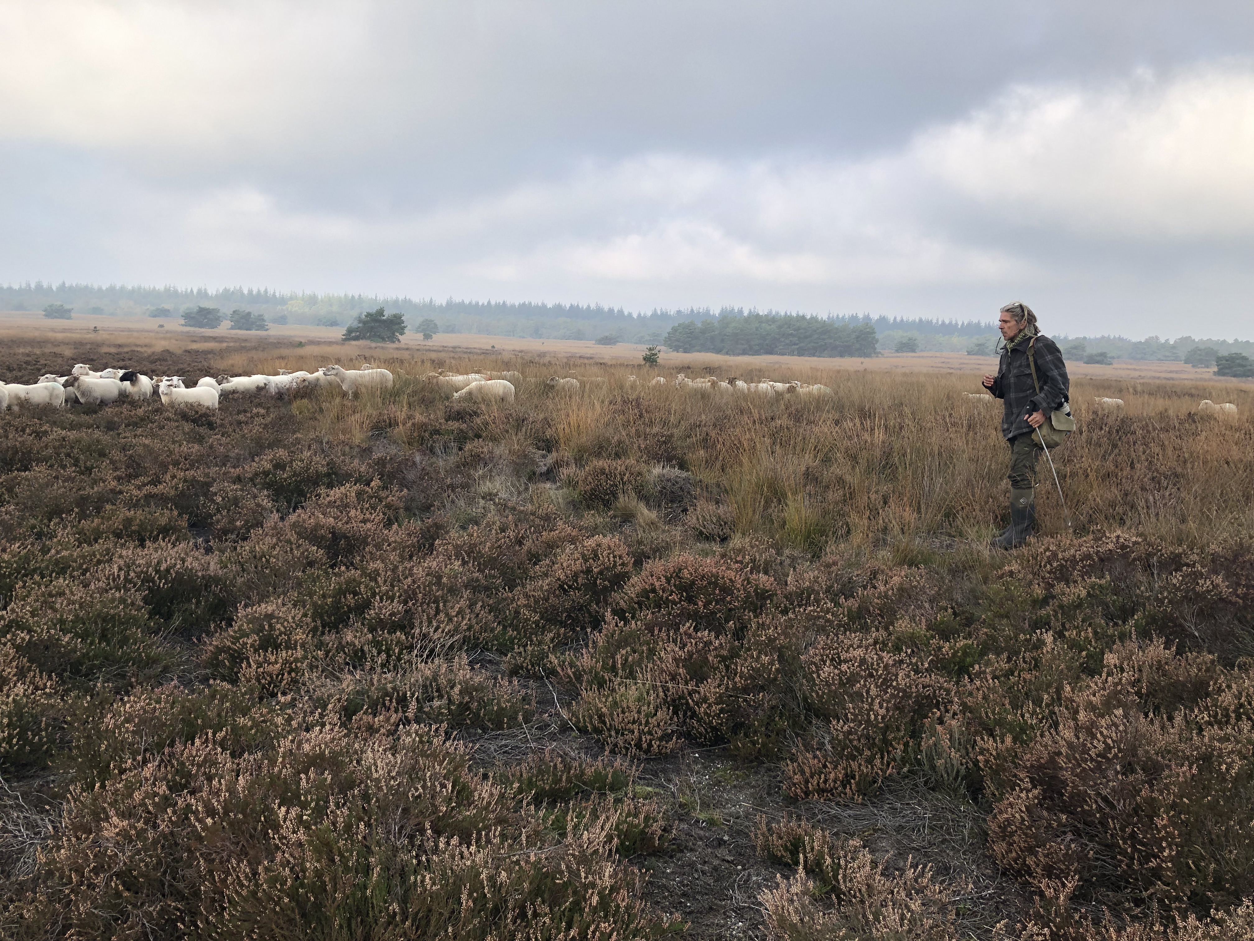 Foto: Achter de foto's van herder Marc schuilt een wereld vol verhalen