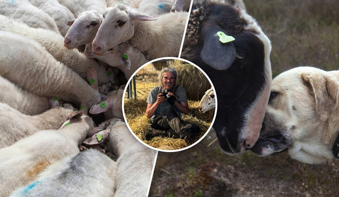 Foto: Achter de foto's van herder Marc schuilt een wereld vol verhalen