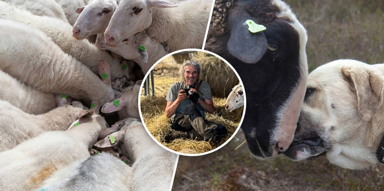 Foto: Achter de foto's van herder Marc schuilt een wereld vol verhalen