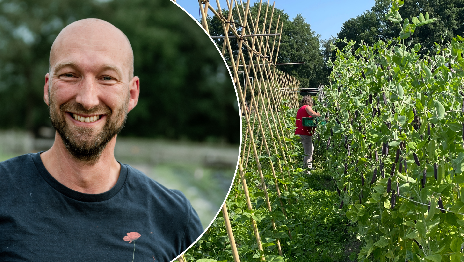 Foto: Waarom Johan duizenden kilo’s groenten verbouwt voor mensen die hulp nodig hebben